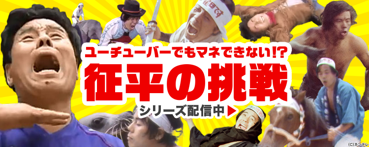 征平の挑戦