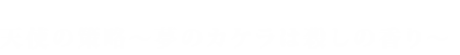 ルパン三世 TV SPECIAL 天使の策略～夢のカケラは殺しの香り～