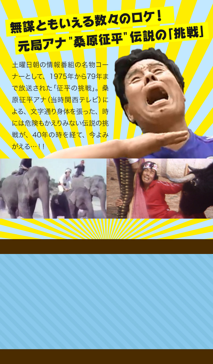 征平の挑戦とは