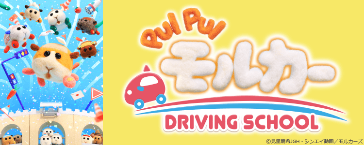 PUI PUI モルカー　