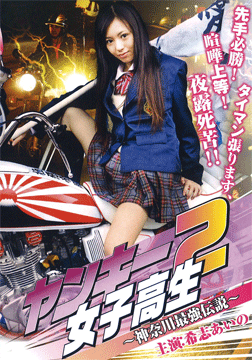 ヤンキー女子高生 2 ～神奈川最強伝説～