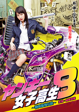 ヤンキー女子高生 8 ～静岡最強伝説～