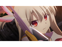 Fate/kaleid liner プリズマ☆イリヤ ドライ!!