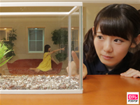 KEYABINGO!3