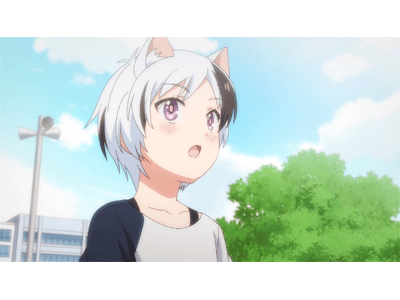 うちタマ?! ～うちのタマ知りませんか？～ 第8話 まつりばやし