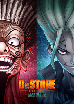 Dr.STONE NEW WORLD（第3期）