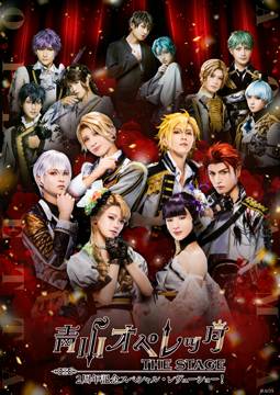 青山オペレッタ THE STAGE 2周年記念スペシャル・レヴューショー！（メイキング付）